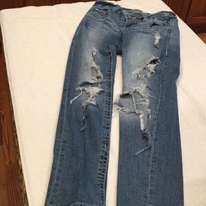 Size 26 ankle Day trip Lynx skinny distressed embroidered embellished